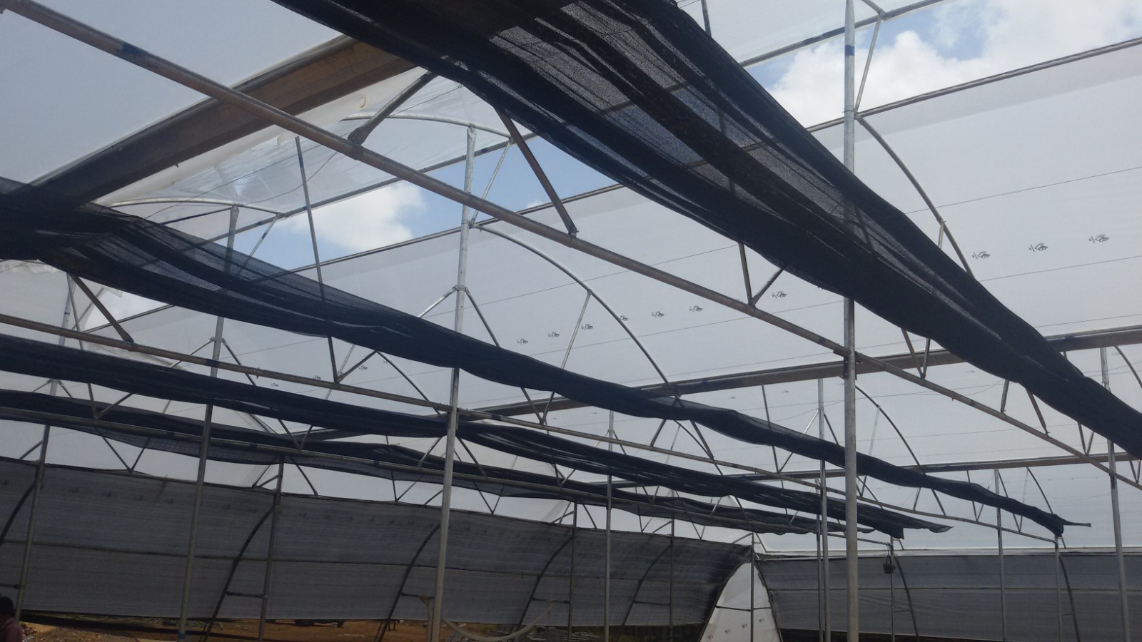 Greenhouse Project 14